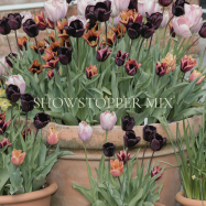 SHOWSTOPPER MIX
