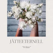 eternell-1.webp