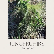 jungfruhirs.webp